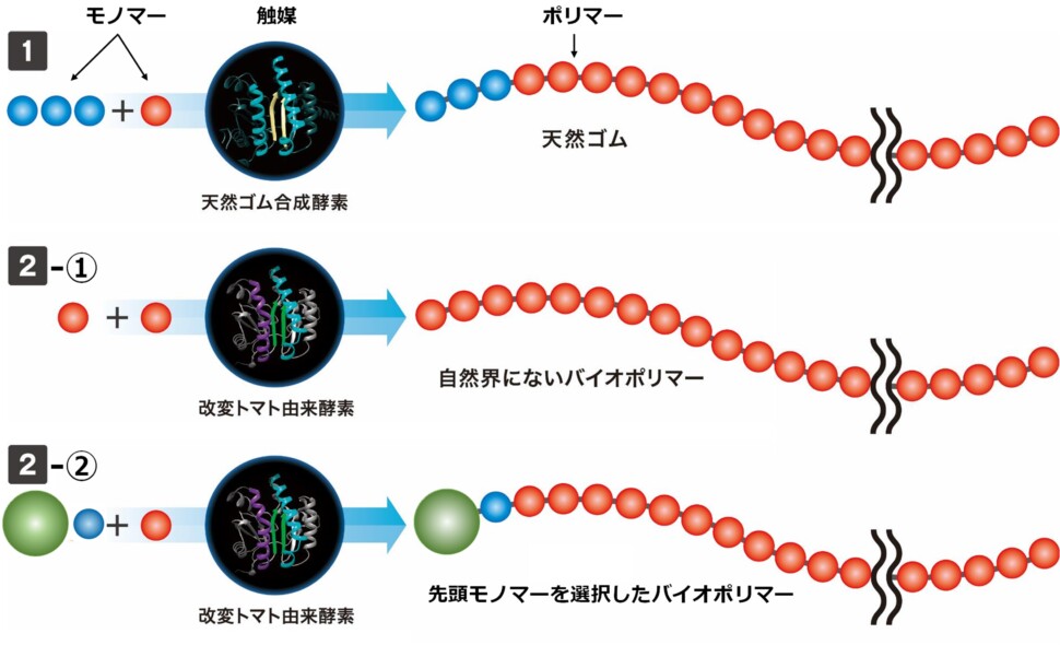 合成反応のイメージ