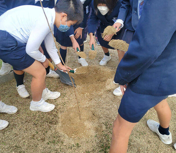 植樹式