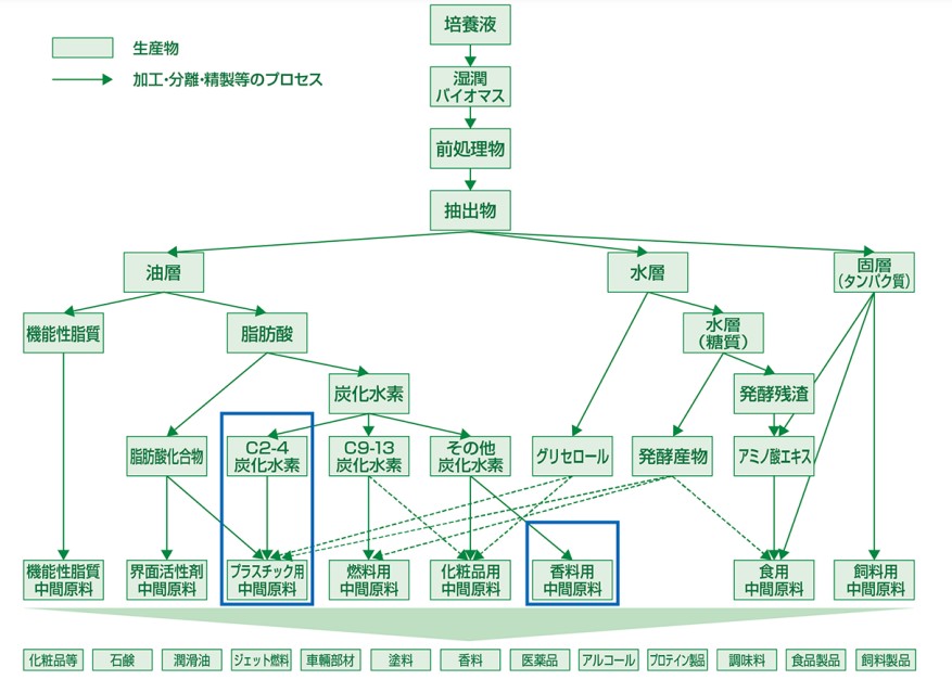 藻類ビジネスのフロー