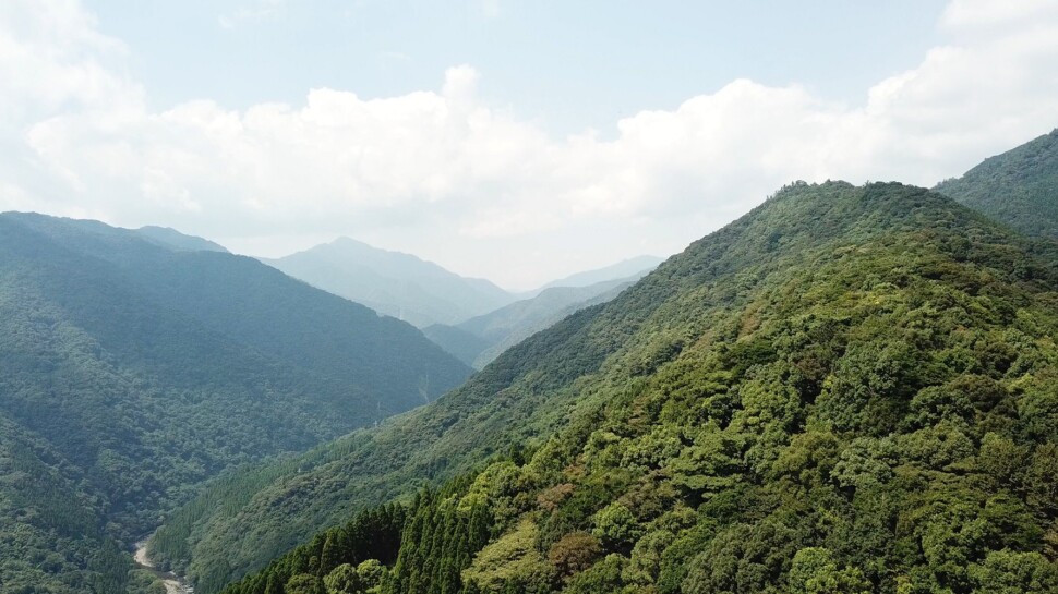 東洋紡 綾の森