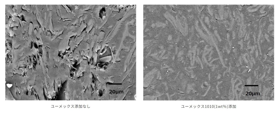 バイオマス複合材料（木粉_PP樹脂）断面のSEM観察画像