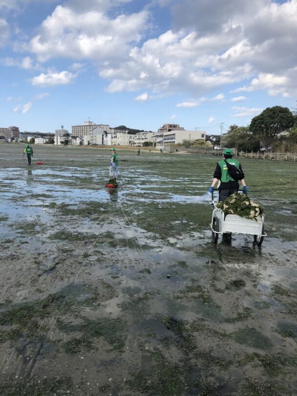 干潟クリーン作戦（福岡県福岡市）