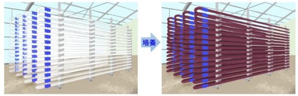 実証設備イメージ