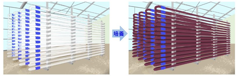 実証設備イメージ