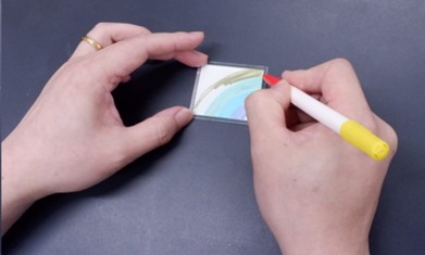 マイナス極(キャンパス)に描画している様子