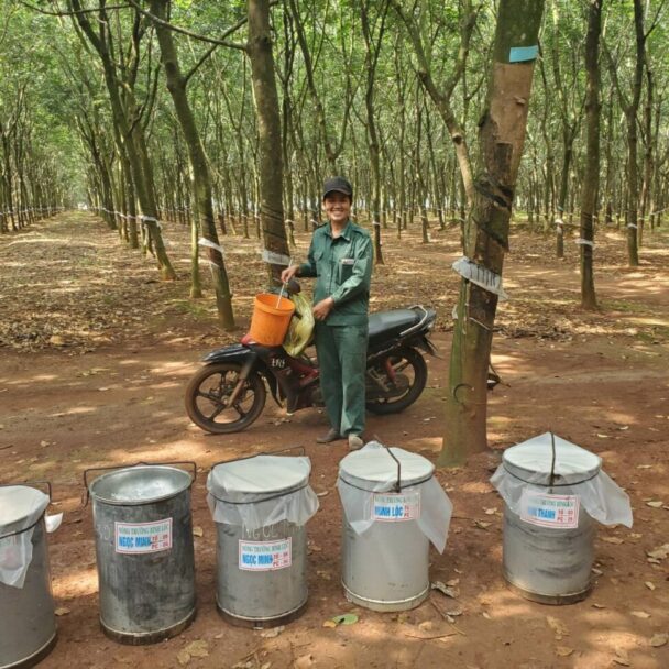 【コラム連載シリーズ】世界のゴム事情85　ベトナム編　加藤進一