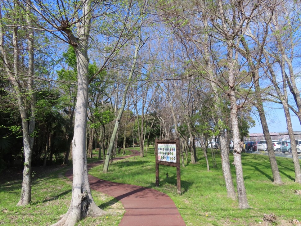 「小鳥の森」全景