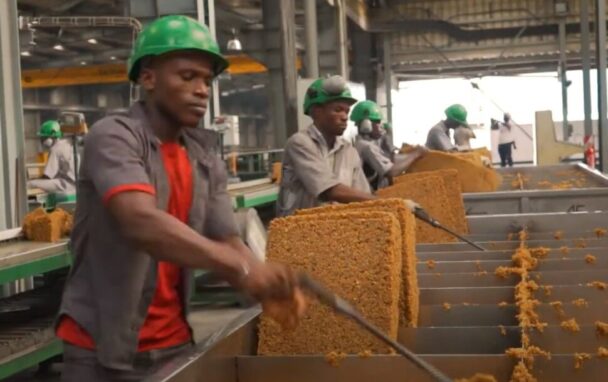 【コラム連載シリーズ】世界のゴム事情88　コートジボワール編　加藤進一