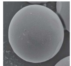 ＳＥＭ(走査電子顕微鏡）