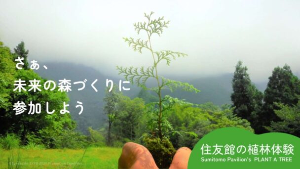 住友館の植林体験