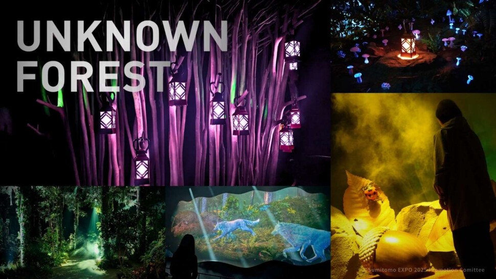 ＵＮＫＮＯＷＮ　ＦＯＲＥＳＴ　誰も知らない、いのちの物語