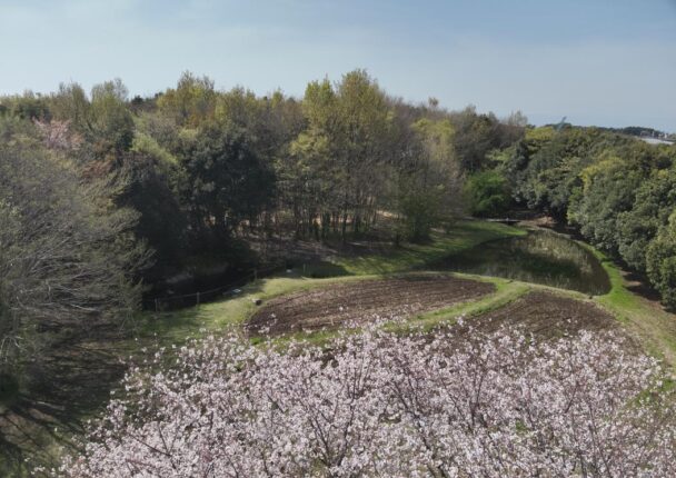 「あさひ・いのちの森」（２０２５年４月撮影）