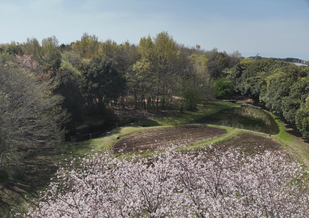 「あさひ・いのちの森」（２０２５年４月撮影）