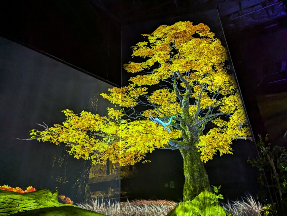 ＵＮＫＮＯＷＮ ＦＯＲＥＳＴ