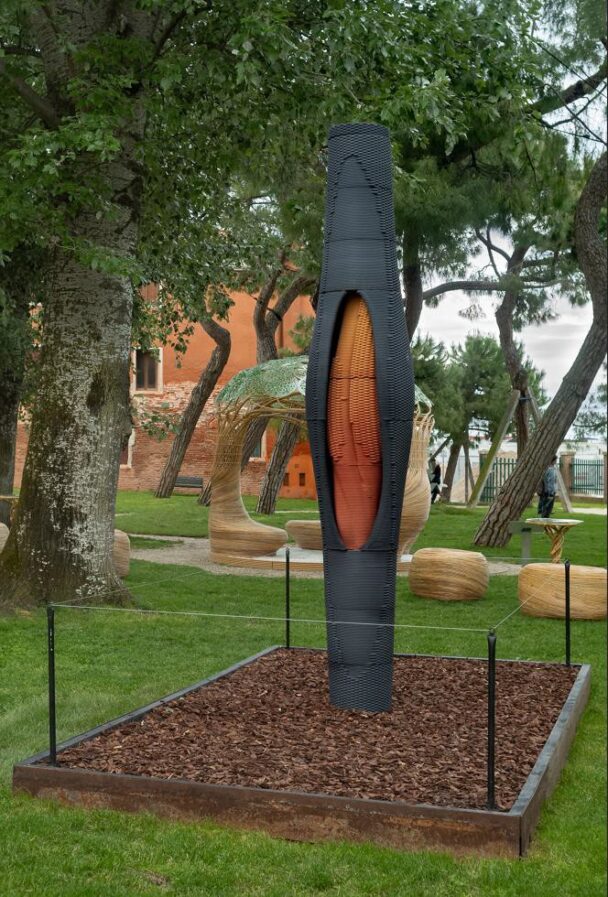 「Ｄｕａｌｉｔｙ　ｏｆ　Ｓｋｉｎ　ａｎｄ　Ｃｏｒｅ（表皮と中核の二重性）」