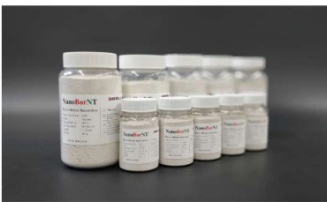 ＢＮＮＴ粉末