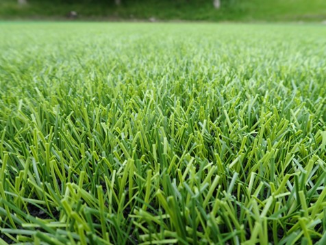 「ハイブリッドターフREX」