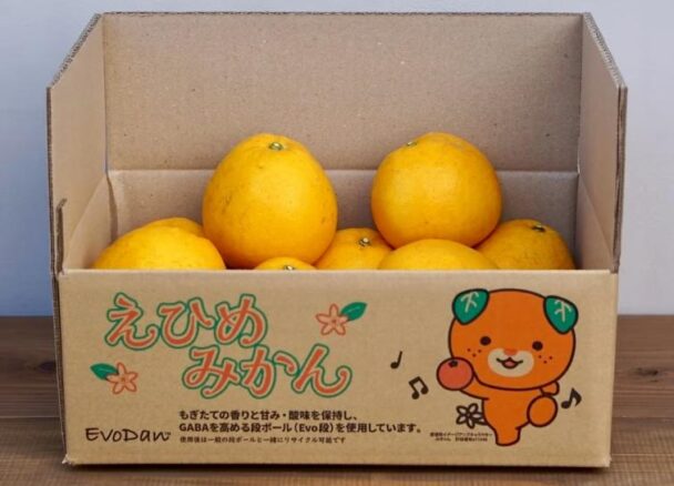 〈PLANTIC〉を使用した高気密性段ボール