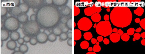 球状アルミナの画像と作成した教師データの一例