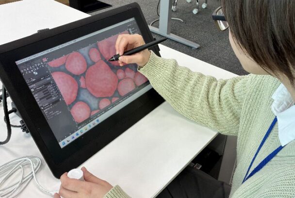 ペンタブレットを用いて教師データを作成している様子