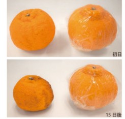 無包装とフレッシュバランス包装の比較