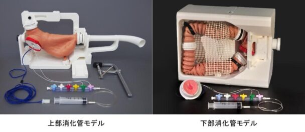 シミュレータ外観（左：上部消化管モデル 右：下部消化管モデル）