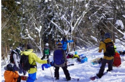 樹林帯にて水循環と植生を 学ぶ