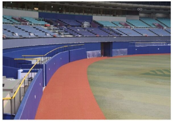 Green Planetを使用した人工芝(ブラウン部分)(写真提供:ナゴヤドーム)