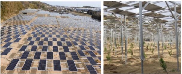 環境負荷の低減と地域共生を両立する営農型オフサイトPPA