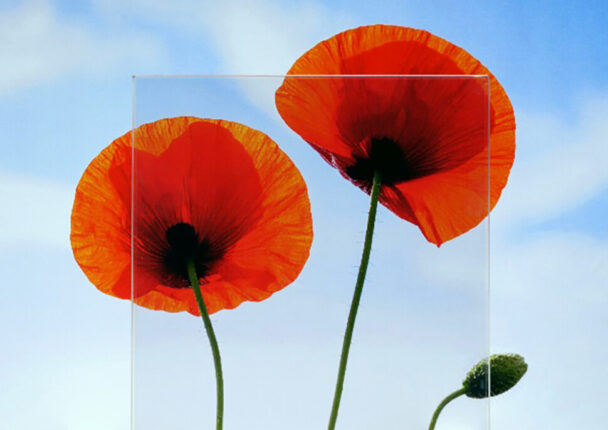 ファイアライトＦエアリティ