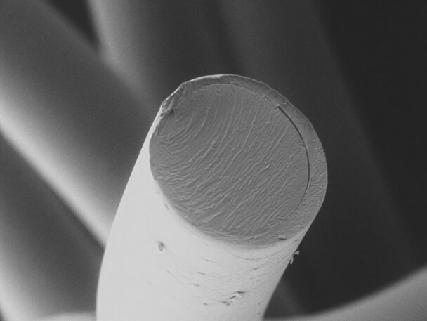 シースコア構造