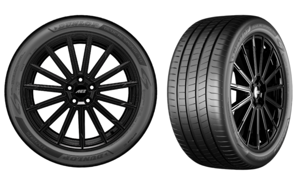 ブルーレスポンス ティージー