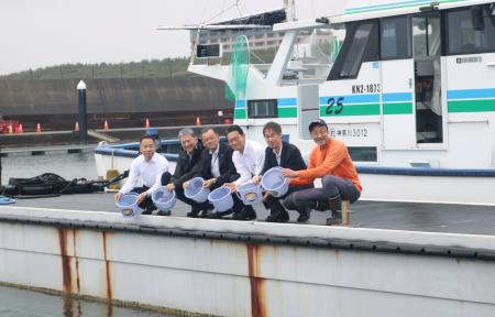ヒラメの稚魚を放流