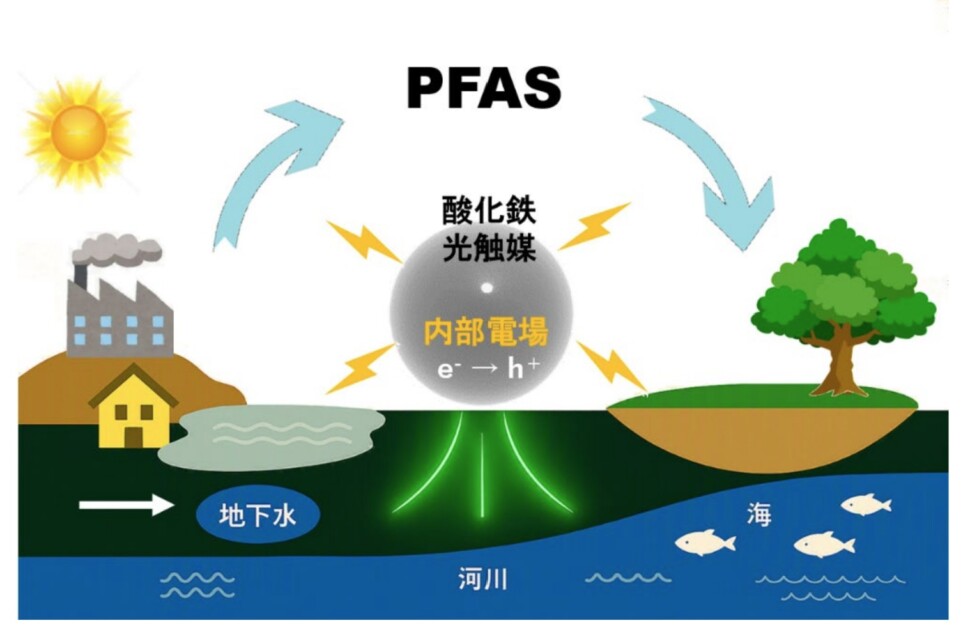 ＰＦＡＳ
