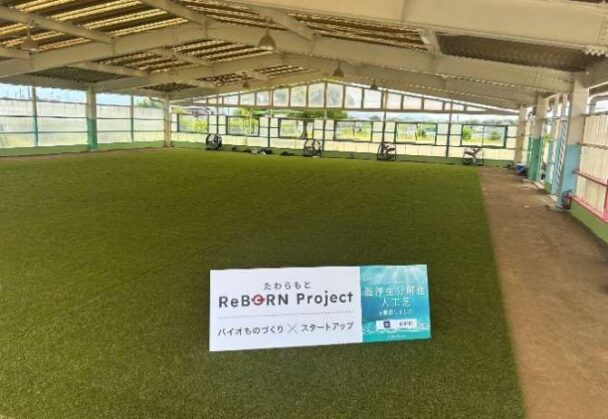 生分解性人工芝敷設後の屋根付き広場