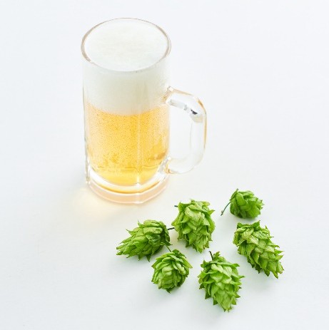 ホップ由来素材「アストロホップ」